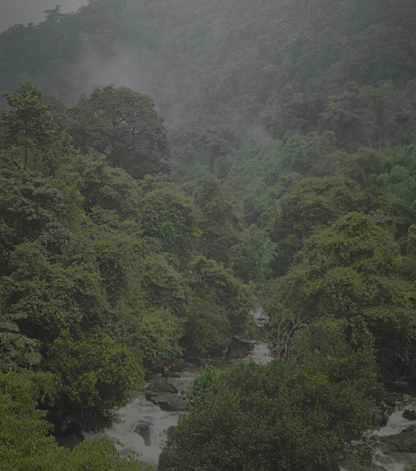 Kozhikode tourism